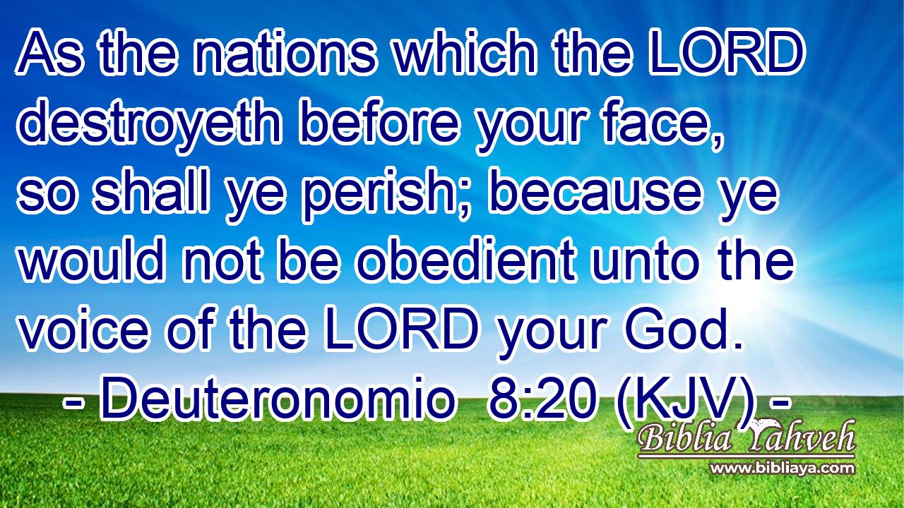As the nations which the LORD destroyeth before your face, so shall ye perish; because ye would not be obedient unto the voice of the LORD your God.