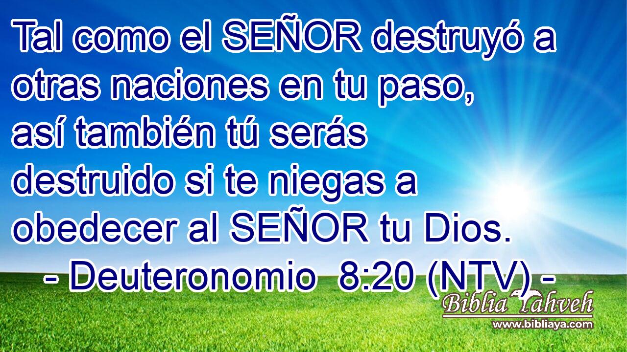 Tal como el SEÑOR destruyó a otras naciones en tu paso, así también tú serás destruido si te niegas a obedecer al SEÑOR tu Dios.