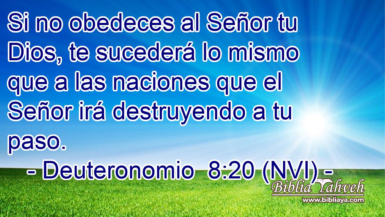  Si no obedeces al Señor tu Dios, te sucederá lo mismo que a las naciones que el Señor irá destruyendo a tu paso. 