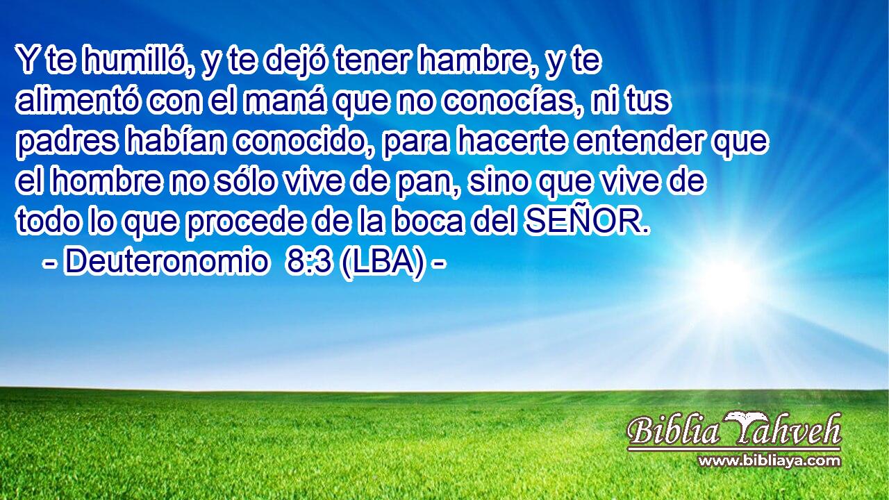Y te humilló, y te dejó tener hambre, y te alimentó con el maná que no conocías, ni tus padres habían conocido, para hacerte entender que el hombre no sólo vive de pan, sino que vive de todo lo que procede de la boca del SEÑOR.