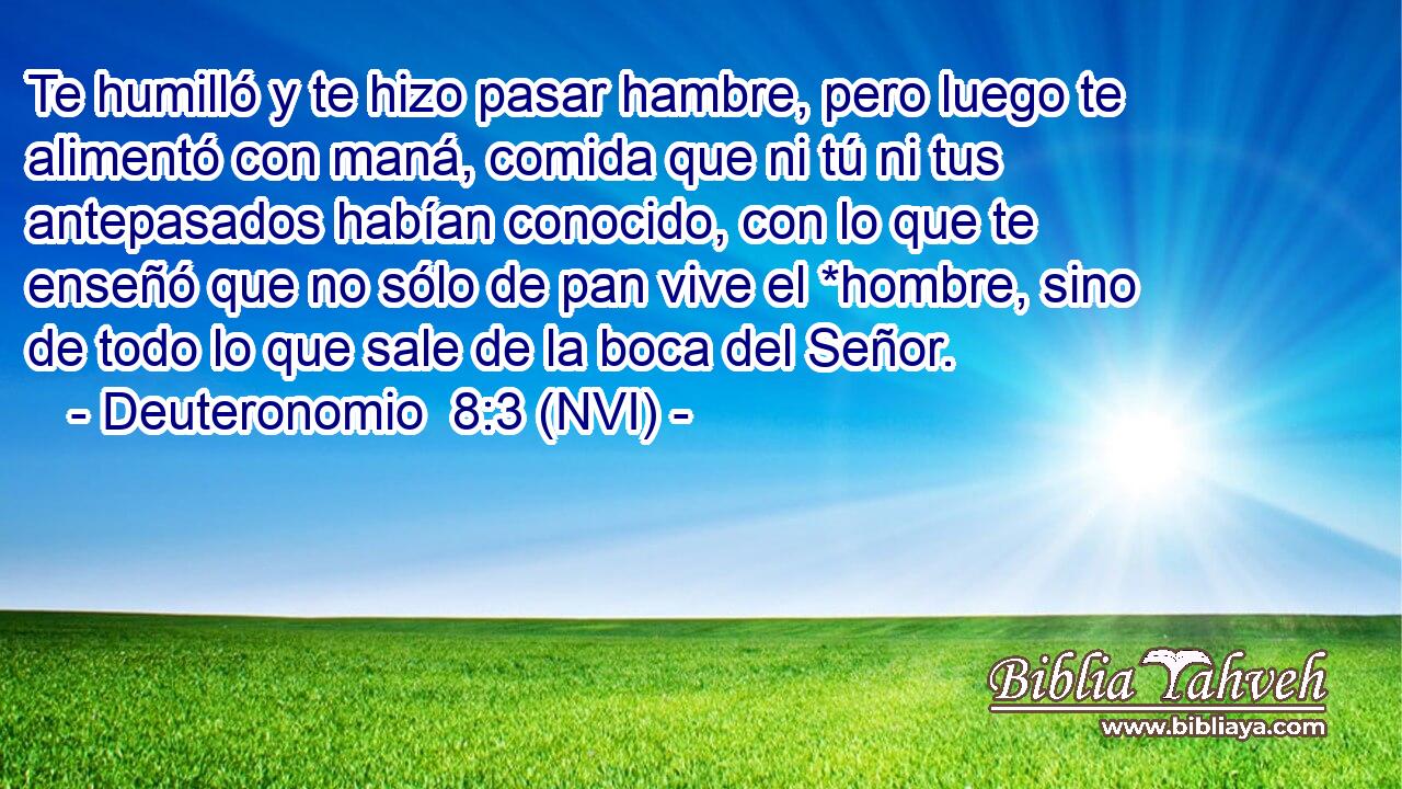  Te humilló y te hizo pasar hambre, pero luego te alimentó con maná, comida que ni tú ni tus antepasados habían conocido, con lo que te enseñó que no sólo de pan vive el *hombre, sino de todo lo que sale de la boca del Señor. 