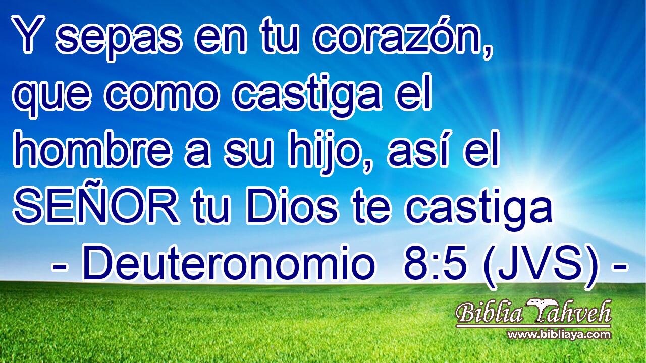 Y sepas en tu corazón, que como castiga el hombre a su hijo, así el SEÑOR tu Dios te castiga