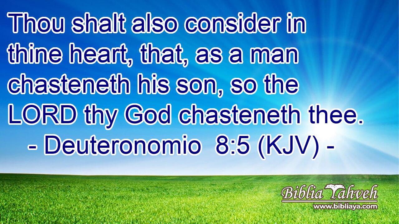 Thou shalt also consider in thine heart, that, as a man chasteneth his son, so the LORD thy God chasteneth thee.