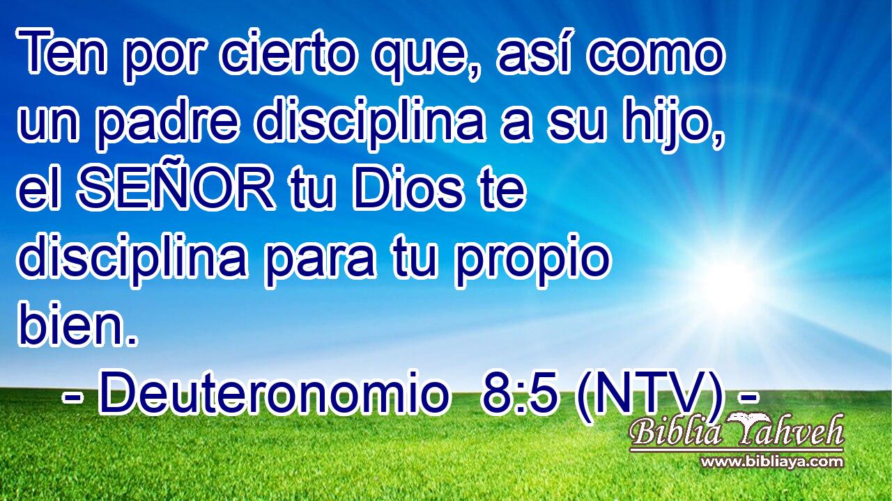 Ten por cierto que, así como un padre disciplina a su hijo, el SEÑOR tu Dios te disciplina para tu propio bien.