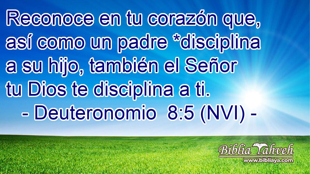  Reconoce en tu corazón que, así como un padre *disciplina a su hijo, también el Señor tu Dios te disciplina a ti. 