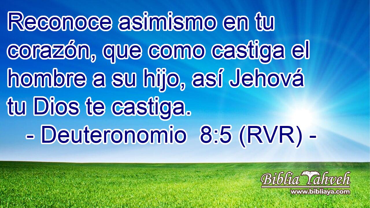 Reconoce asimismo en tu corazón, que como castiga el hombre a su hijo, así Jehová tu Dios te castiga.