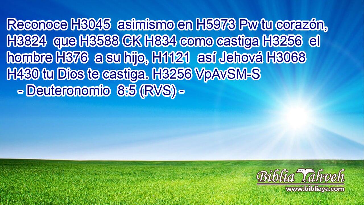 Reconoce H3045  asimismo en H5973 Pw tu corazón, H3824  que H3588 CK H834 como castiga H3256  el hombre H376  a su hijo, H1121  así Jehová H3068  H430 tu Dios te castiga. H3256 VpAvSM-S 