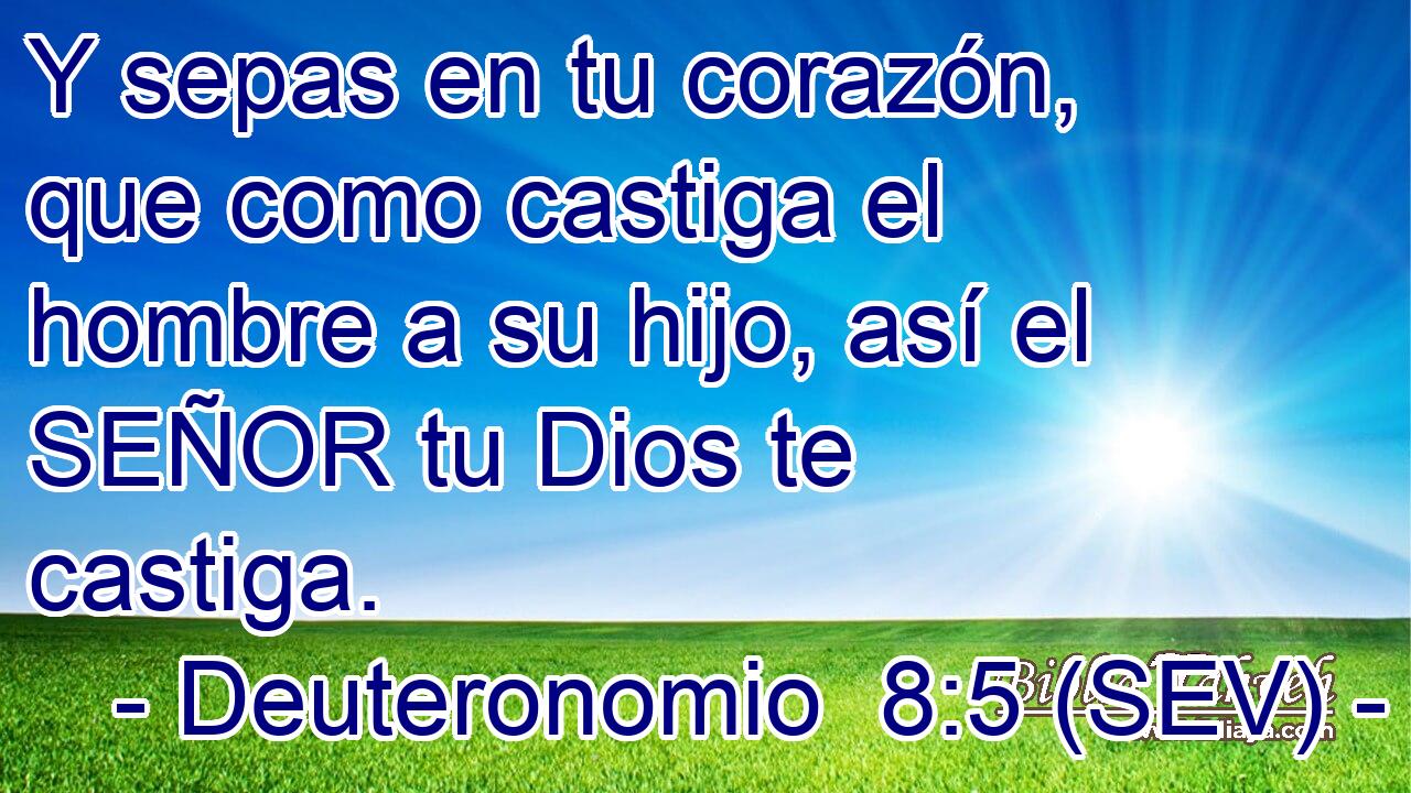 Y sepas en tu corazón, que como castiga el hombre a su hijo, así el SEÑOR tu Dios te castiga.