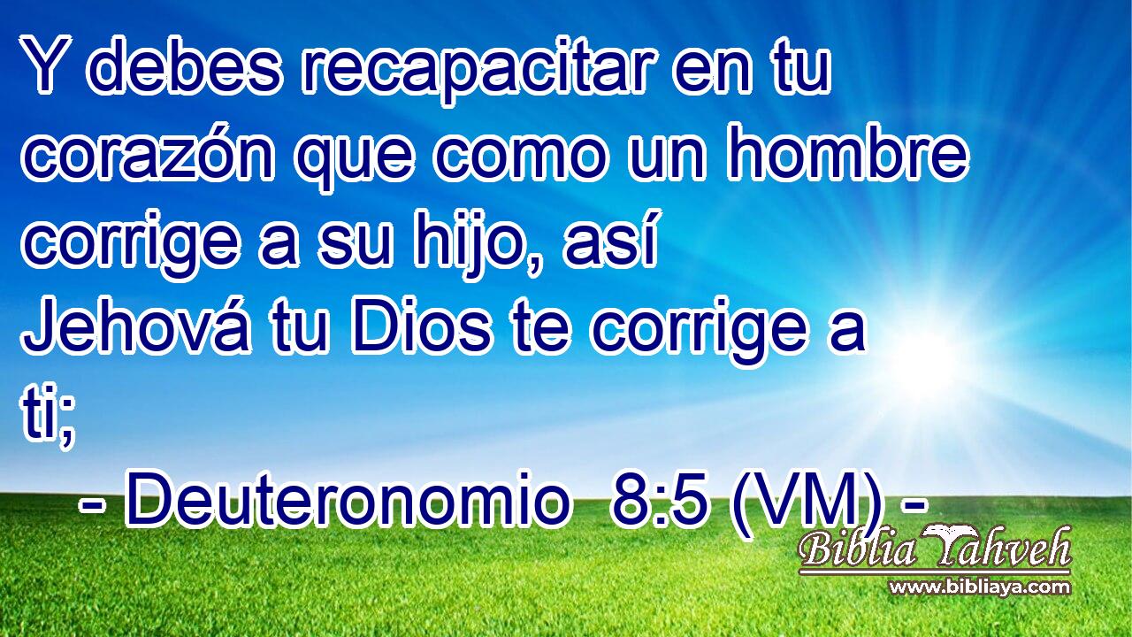  Y debes recapacitar en tu corazón que como un hombre corrige a su hijo, así Jehová tu Dios te corrige a ti; 