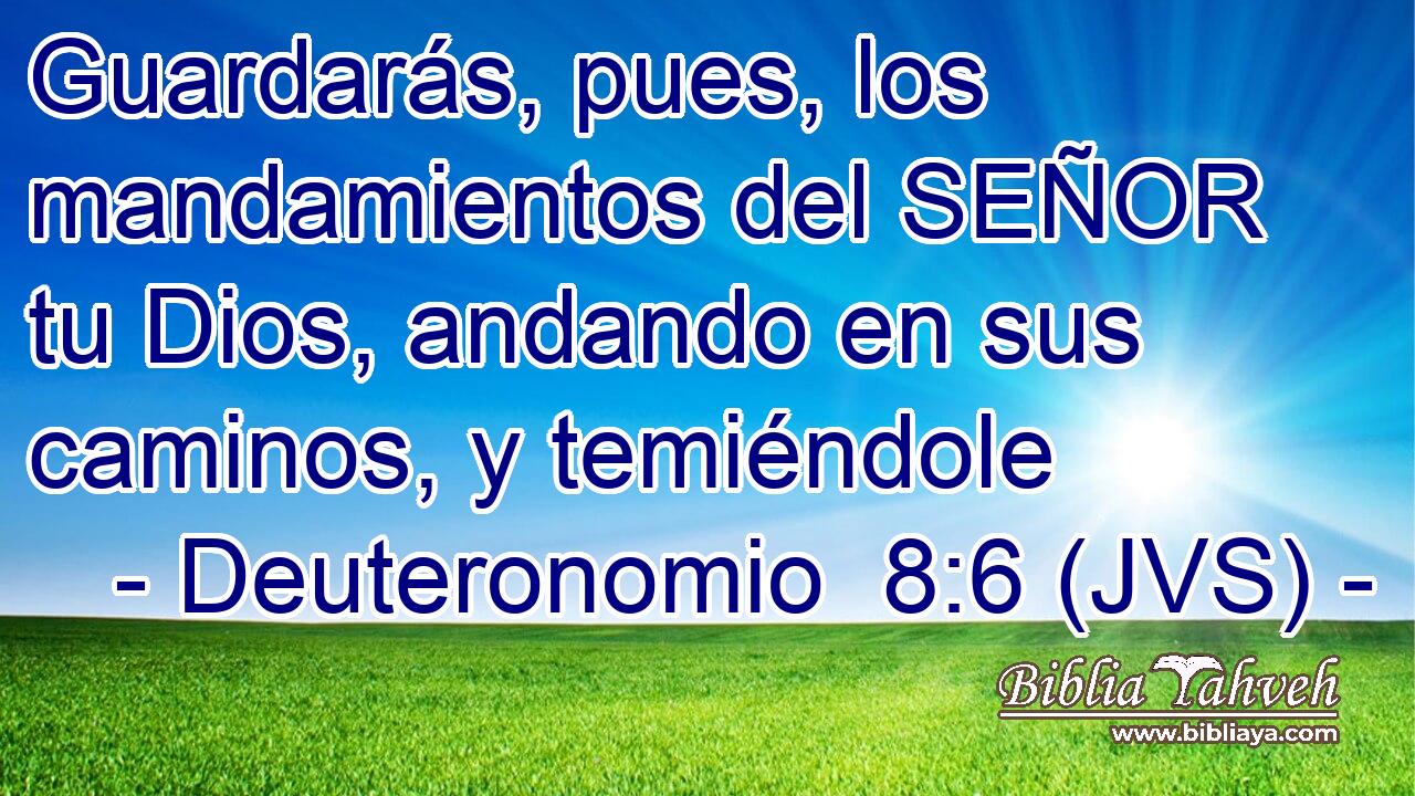 Guardarás, pues, los mandamientos del SEÑOR tu Dios, andando en sus caminos, y temiéndole