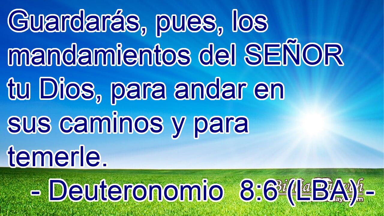 Guardarás, pues, los mandamientos del SEÑOR tu Dios, para andar en sus caminos y para temerle.