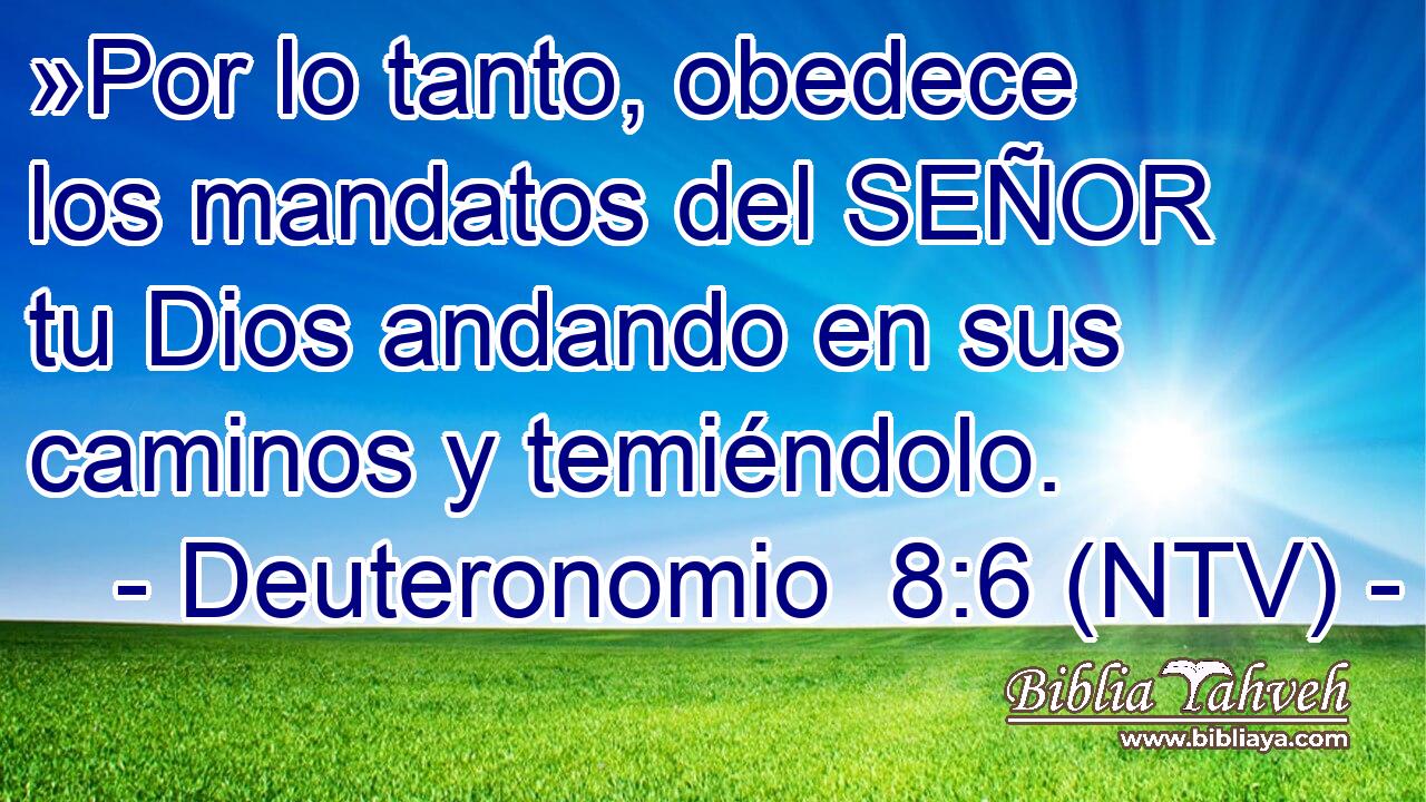 »Por lo tanto, obedece los mandatos del SEÑOR tu Dios andando en sus caminos y temiéndolo.
