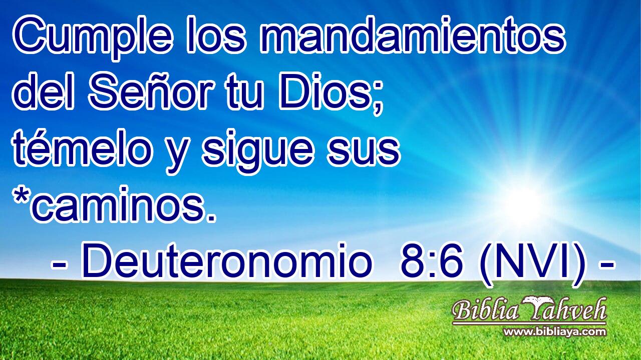  Cumple los mandamientos del Señor tu Dios; témelo y sigue sus *caminos. 