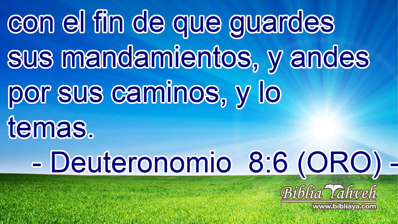  con el fin de que guardes sus mandamientos, y andes por sus caminos, y lo temas. 
