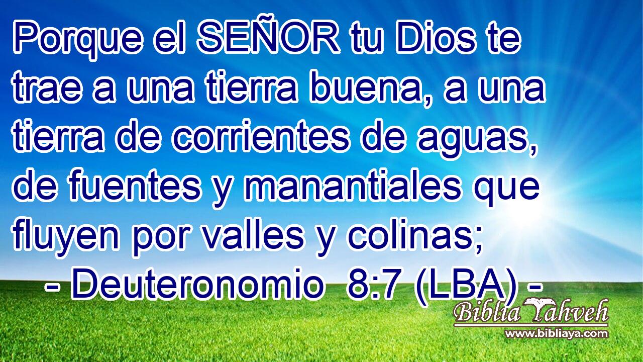 Porque el SEÑOR tu Dios te trae a una tierra buena, a una tierra de corrientes de aguas, de fuentes y manantiales que fluyen por valles y colinas;