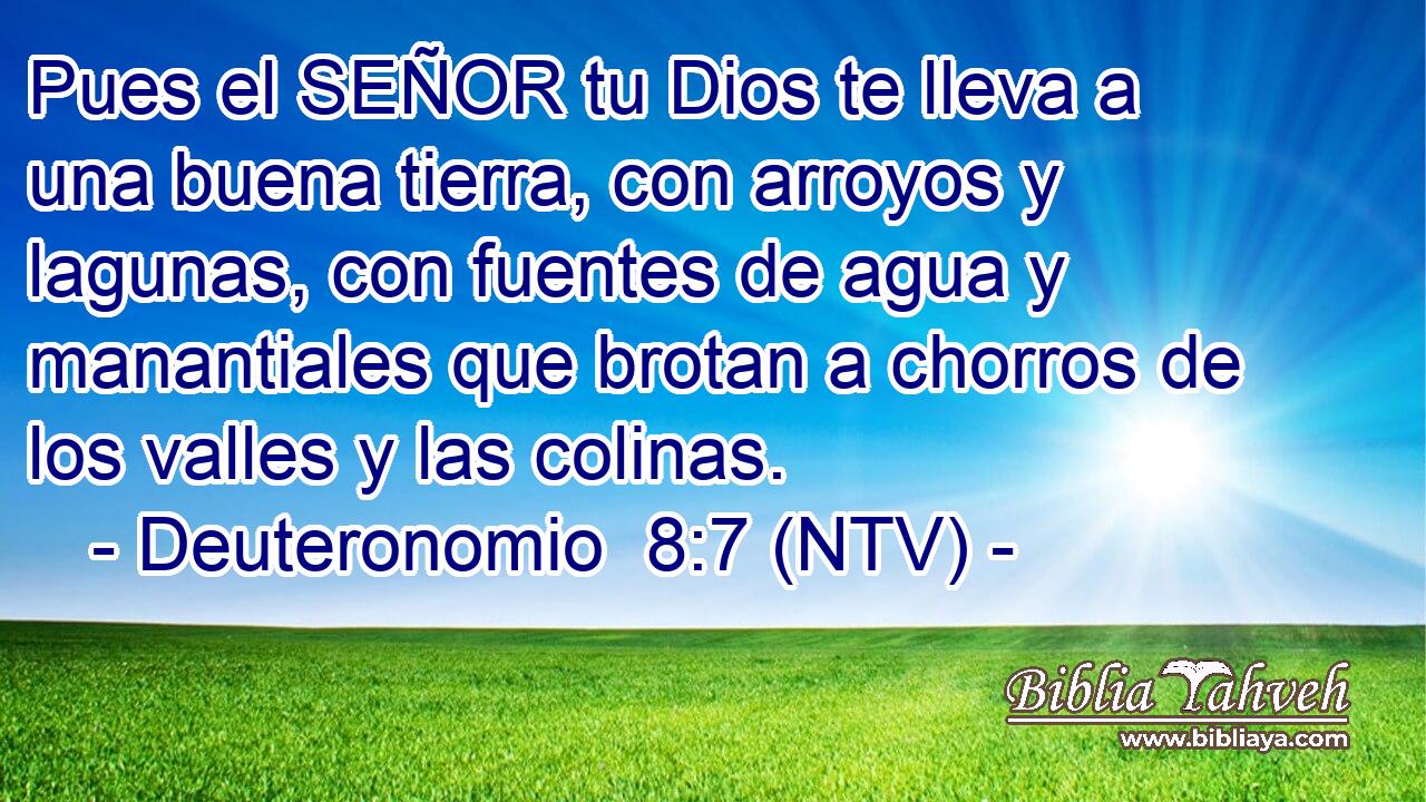 Pues el SEÑOR tu Dios te lleva a una buena tierra, con arroyos y lagunas, con fuentes de agua y manantiales que brotan a chorros de los valles y las colinas.