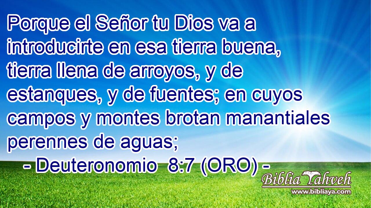  Porque el Señor tu Dios va a introducirte en esa tierra buena, tierra llena de arroyos, y de estanques, y de fuentes; en cuyos campos y montes brotan manantiales perennes de aguas; 