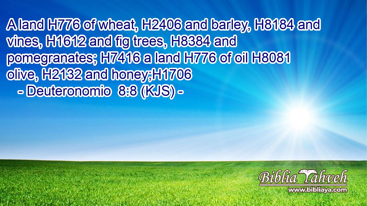 A land H776 of wheat, H2406 and barley, H8184 and vines, H1612 and fig trees, H8384 and pomegranates; H7416 a land H776 of oil H8081 olive, H2132 and honey;H1706