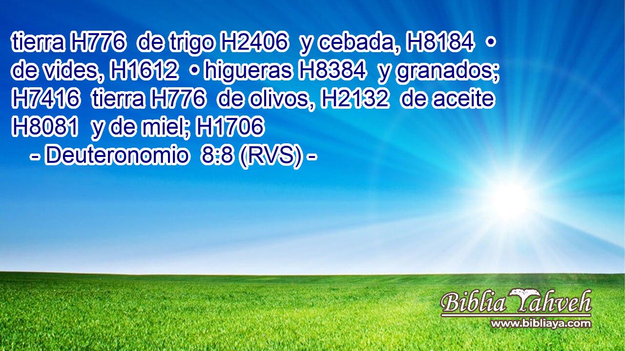 tierra H776  de trigo H2406  y cebada, H8184  • de vides, H1612  • higueras H8384  y granados; H7416  tierra H776  de olivos, H2132  de aceite H8081  y de miel; H1706  