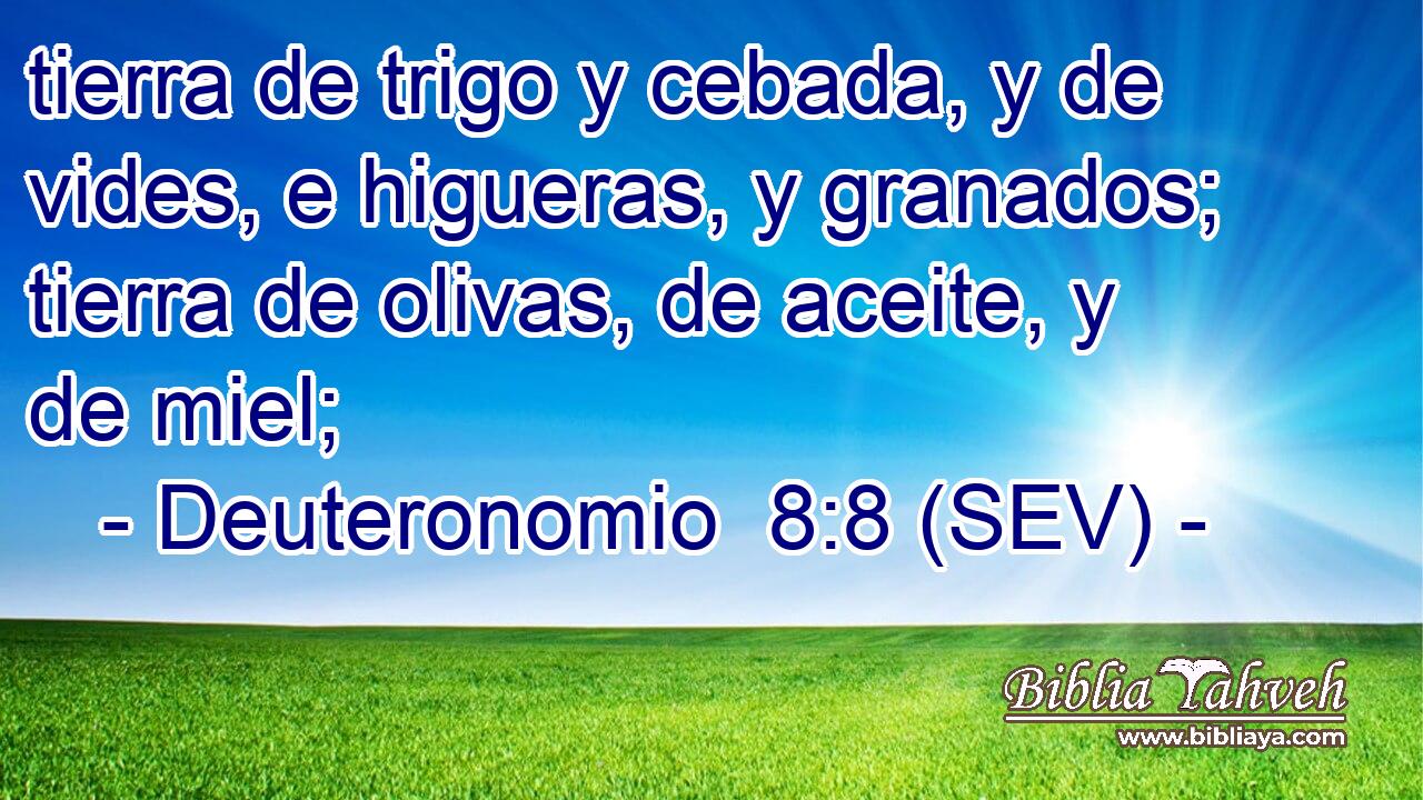 tierra de trigo y cebada, y de vides, e higueras, y granados; tierra de olivas, de aceite, y de miel;