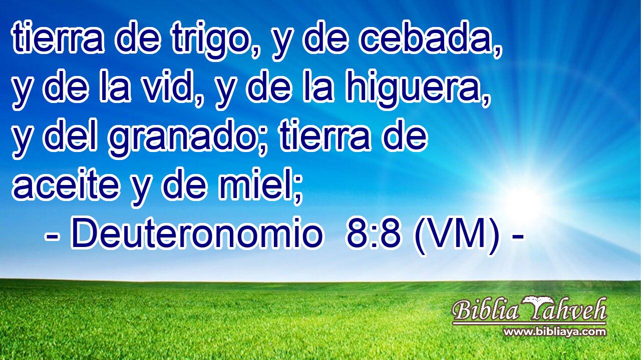  tierra de trigo, y de cebada, y de la vid, y de la higuera, y del granado; tierra de aceite y de miel; 