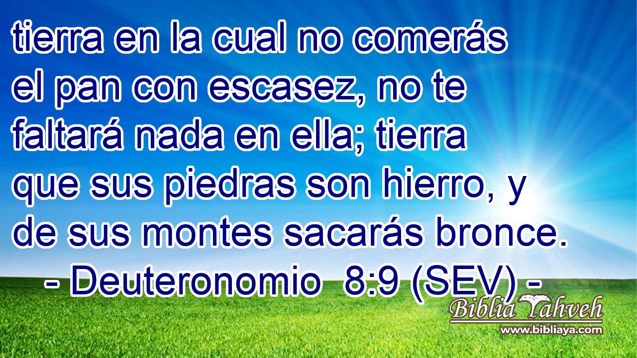 tierra en la cual no comerás el pan con escasez, no te faltará nada en ella; tierra que sus piedras son hierro, y de sus montes sacarás bronce.