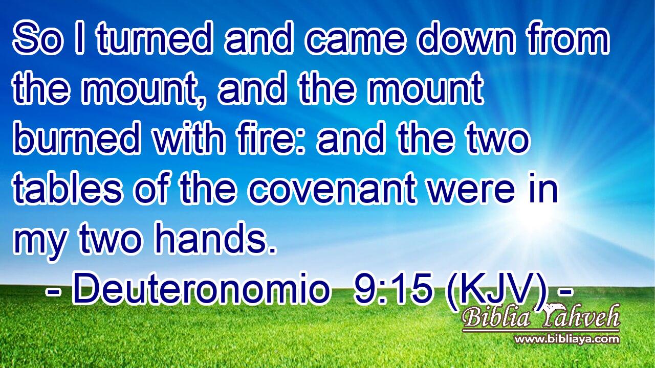 So I turned and came down from the mount, and the mount burned with fire: and the two tables of the covenant were in my two hands.