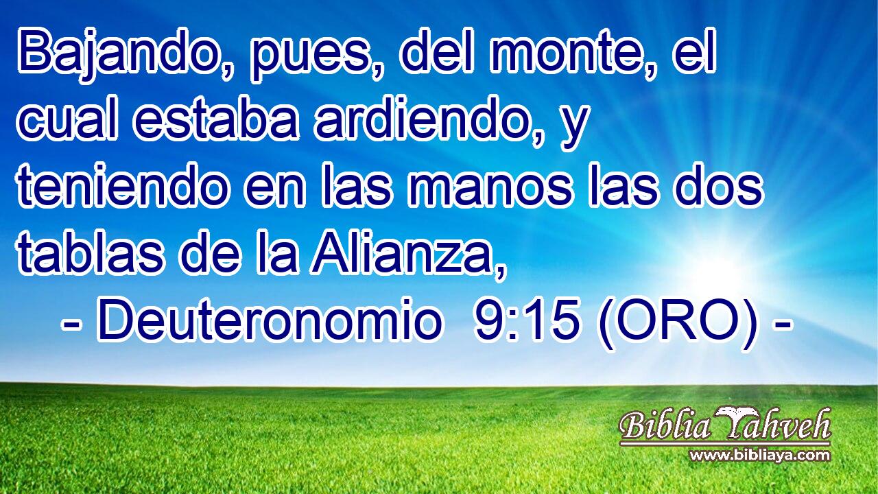  Bajando, pues, del monte, el cual estaba ardiendo, y teniendo en las manos las dos tablas de la Alianza, 