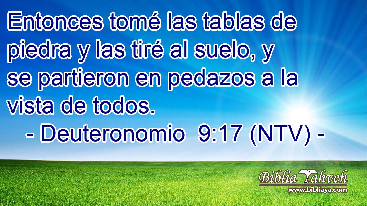 Entonces tomé las tablas de piedra y las tiré al suelo, y se partieron en pedazos a la vista de todos.