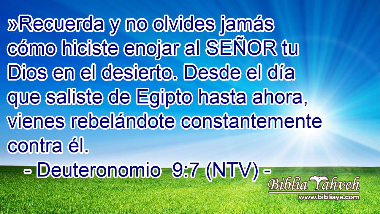 »Recuerda y no olvides jamás cómo hiciste enojar al SEÑOR tu Dios en el desierto. Desde el día que saliste de Egipto hasta ahora, vienes rebelándote constantemente contra él.