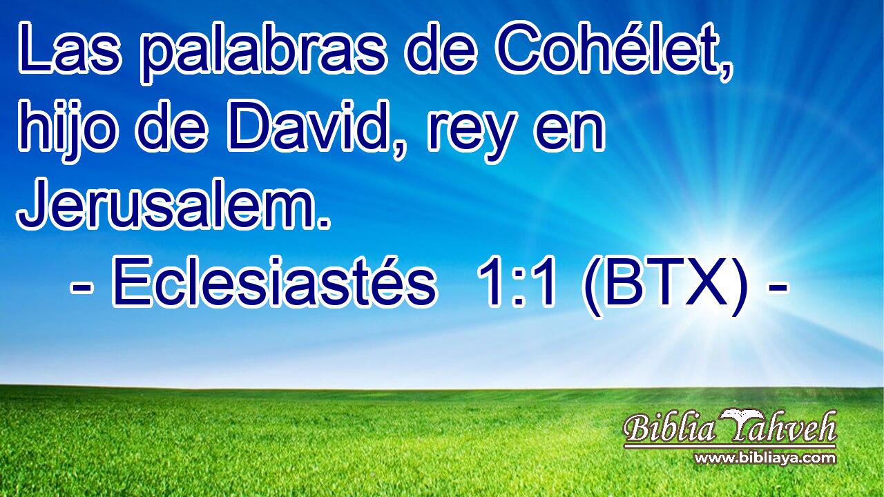Las palabras de Cohélet, hijo de David, rey en Jerusalem.