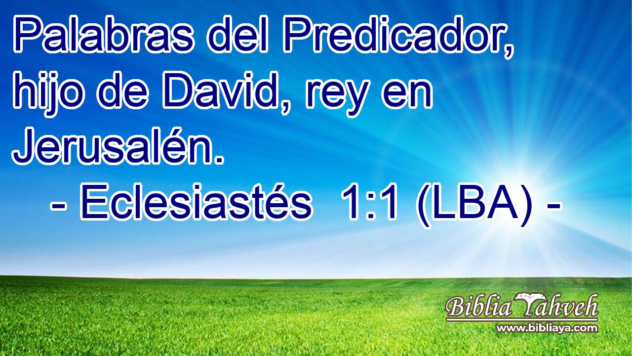 Palabras del Predicador, hijo de David, rey en Jerusalén.