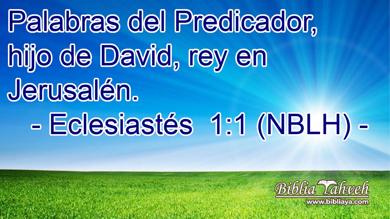  Palabras del Predicador, hijo de David, rey en Jerusalén. 