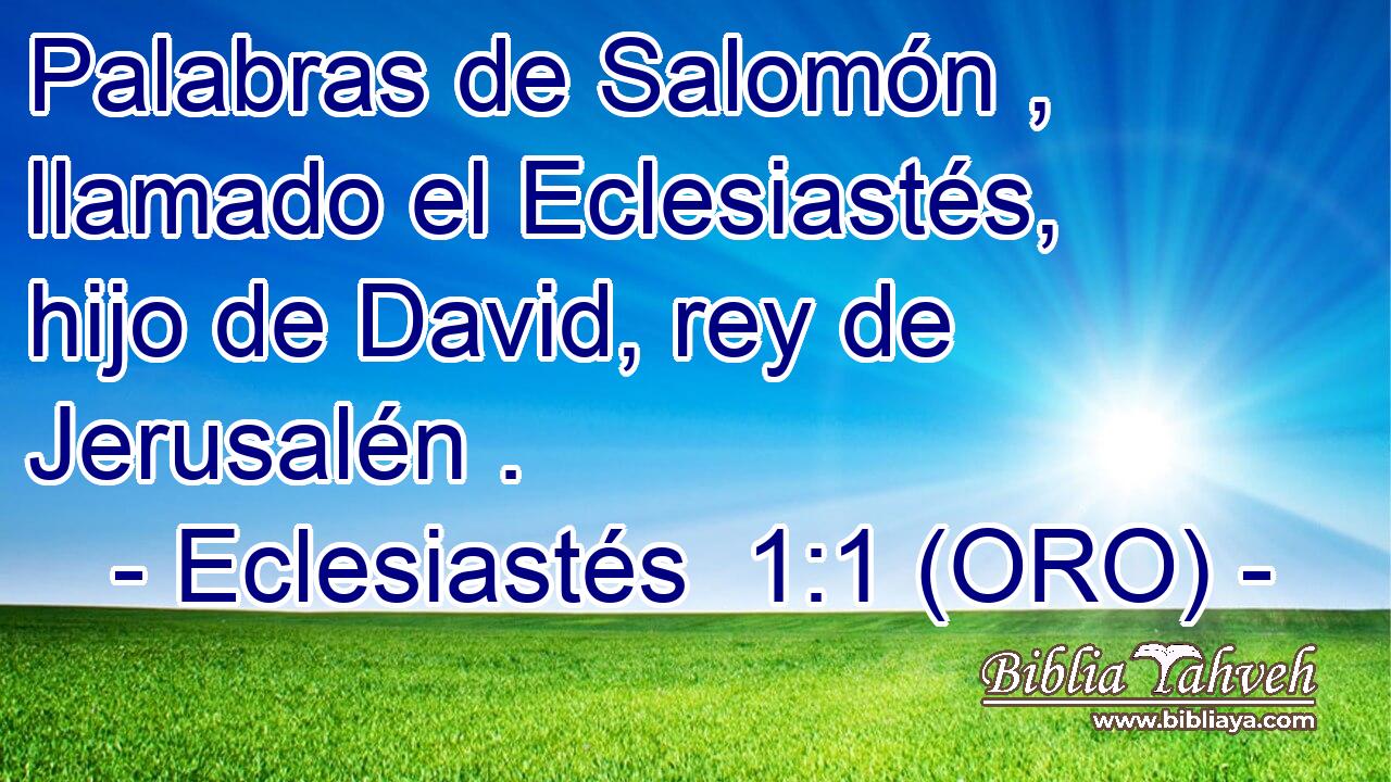  Palabras de Salomón , llamado el Eclesiastés, hijo de David, rey de Jerusalén . 