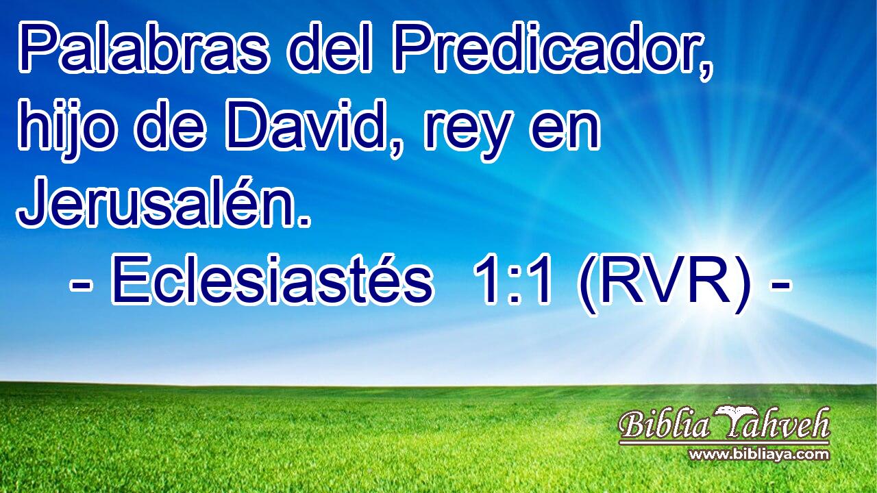 Palabras del Predicador, hijo de David, rey en Jerusalén.
