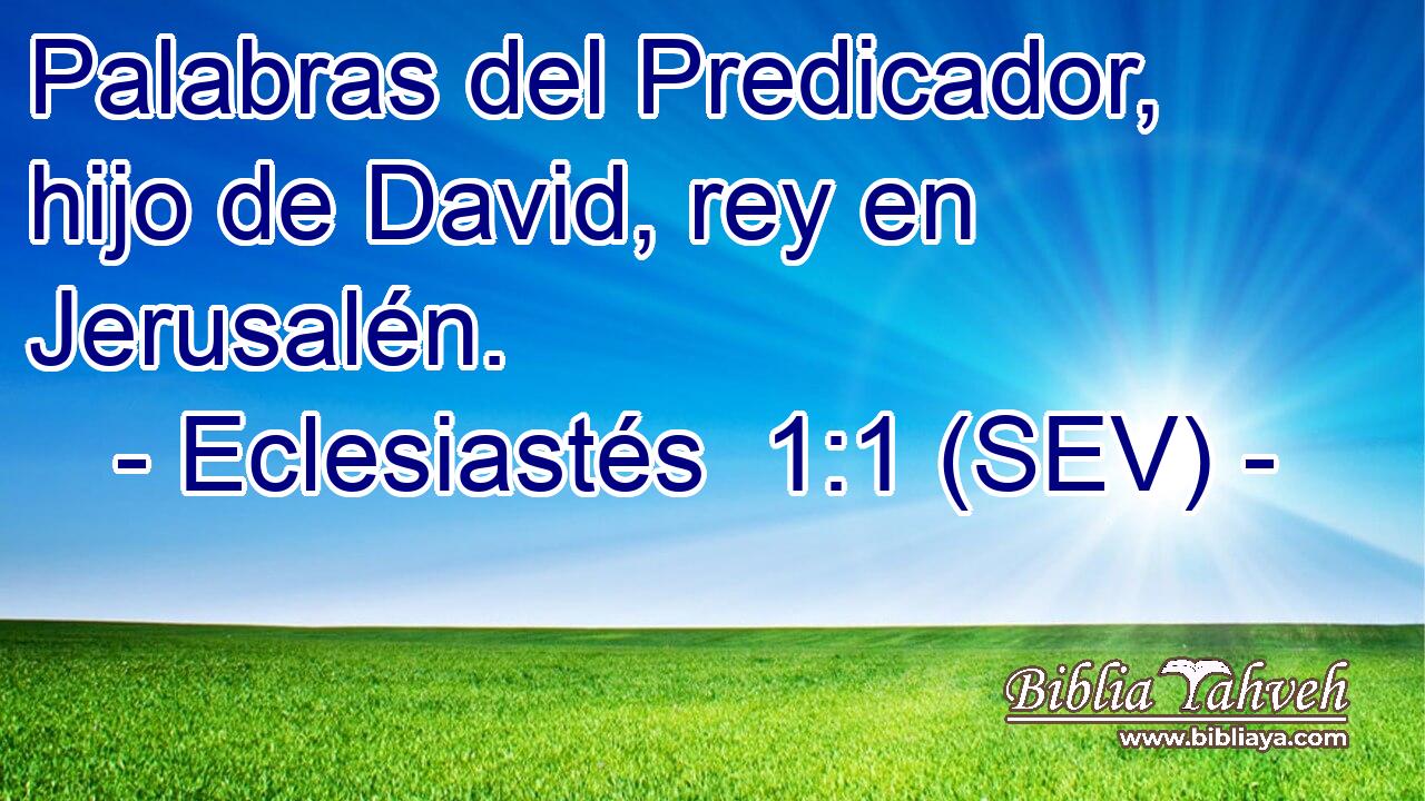 Palabras del Predicador, hijo de David, rey en Jerusalén.