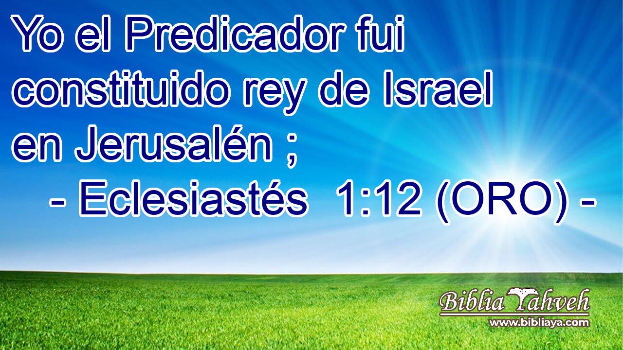  Yo el Predicador fui constituido rey de Israel en Jerusalén ; 