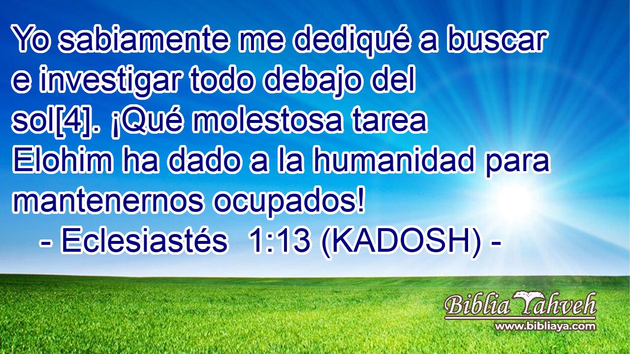  Yo sabiamente me dediqué a buscar e investigar todo debajo del sol[4]. ¡Qué molestosa tarea Elohim ha dado a la humanidad para mantenernos ocupados! 