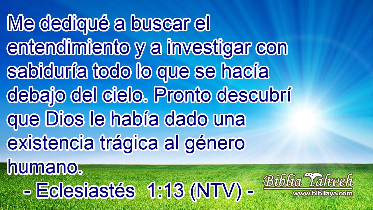 Me dediqué a buscar el entendimiento y a investigar con sabiduría todo lo que se hacía debajo del cielo. Pronto descubrí que Dios le había dado una existencia trágica al género humano.