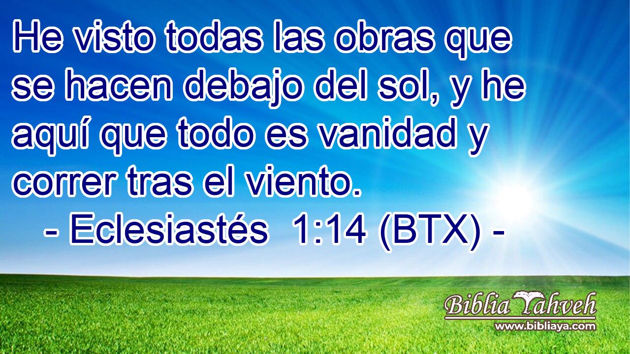 He visto todas las obras que se hacen debajo del sol, y he aquí que todo es vanidad y correr tras el viento.