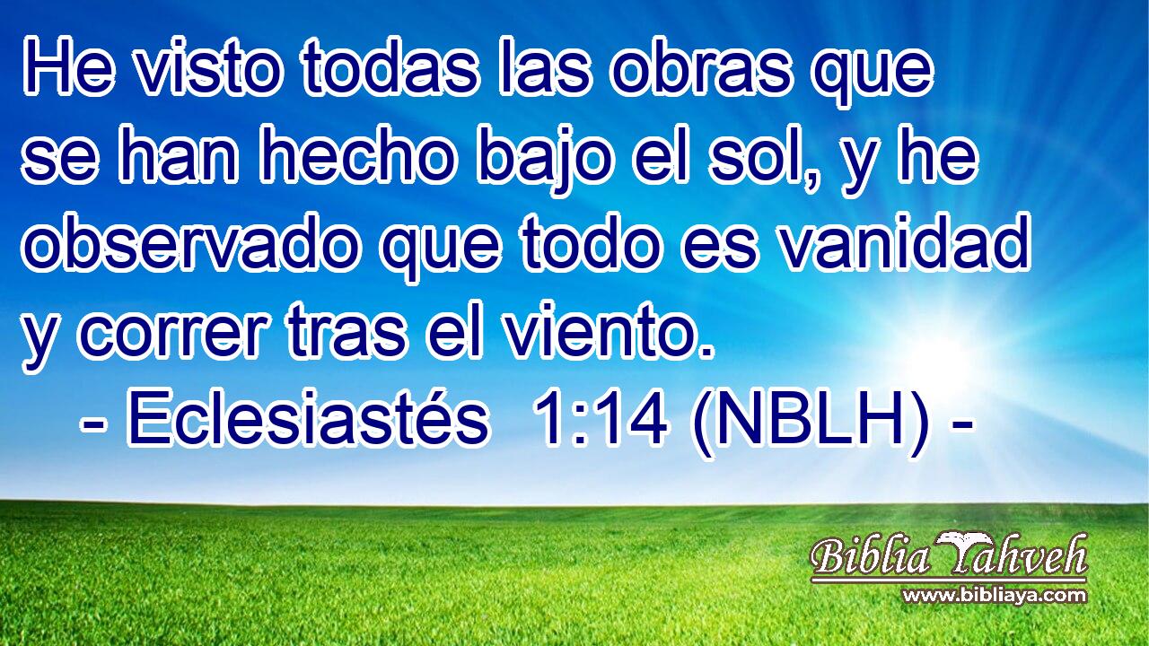  He visto todas las obras que se han hecho bajo el sol, y he observado que todo es vanidad y correr tras el viento. 