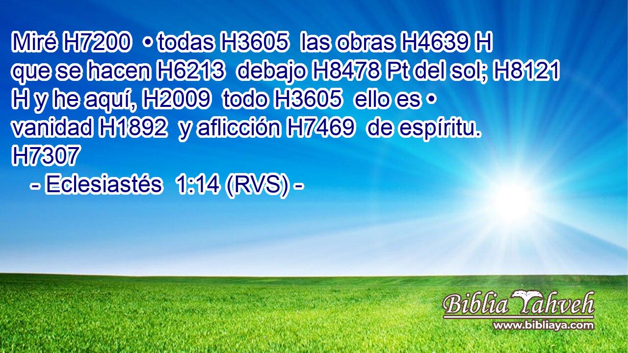 Miré H7200  • todas H3605  las obras H4639 H que se hacen H6213  debajo H8478 Pt del sol; H8121 H y he aquí, H2009  todo H3605  ello es • vanidad H1892  y aflicción H7469  de espíritu. H7307  