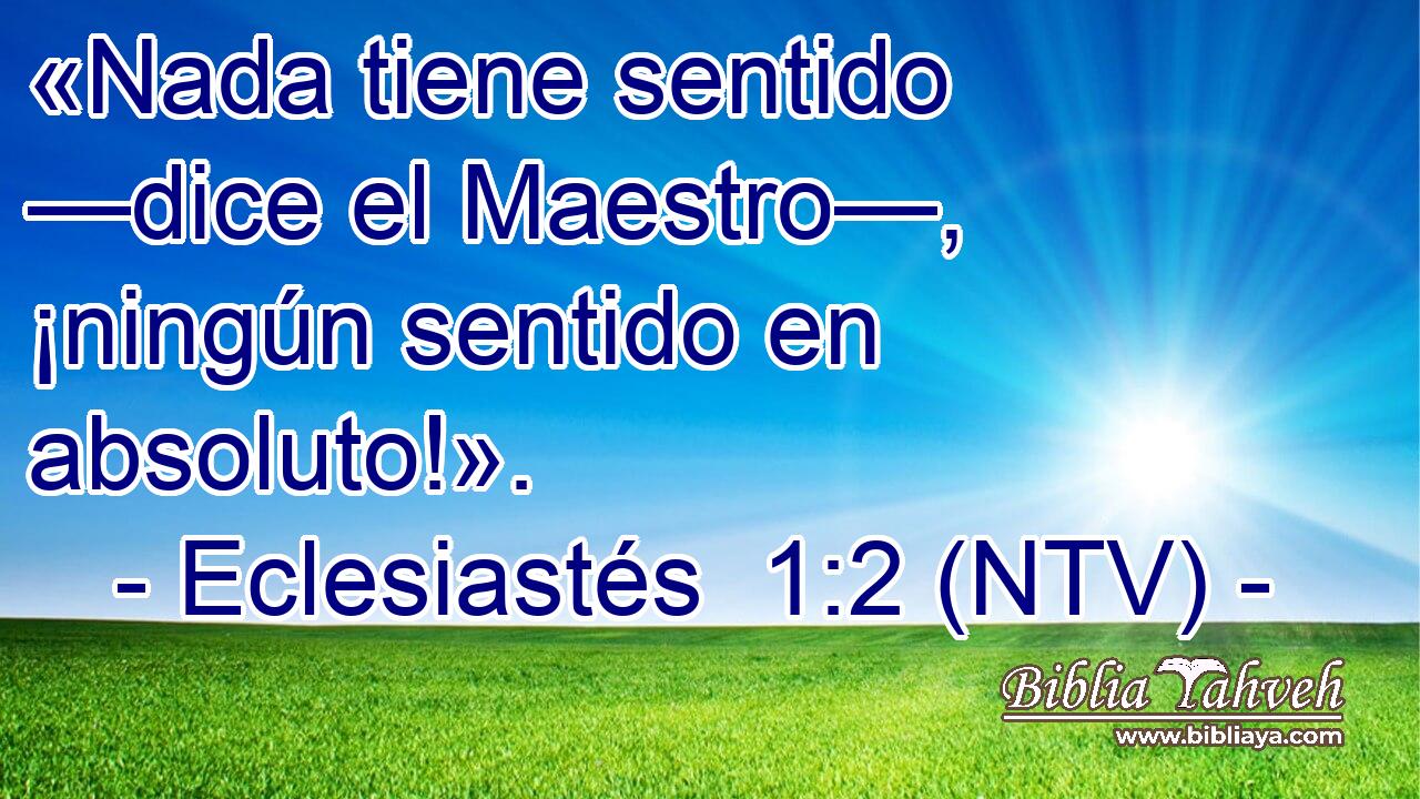 «Nada tiene sentido —dice el Maestro—, ¡ningún sentido en absoluto!».