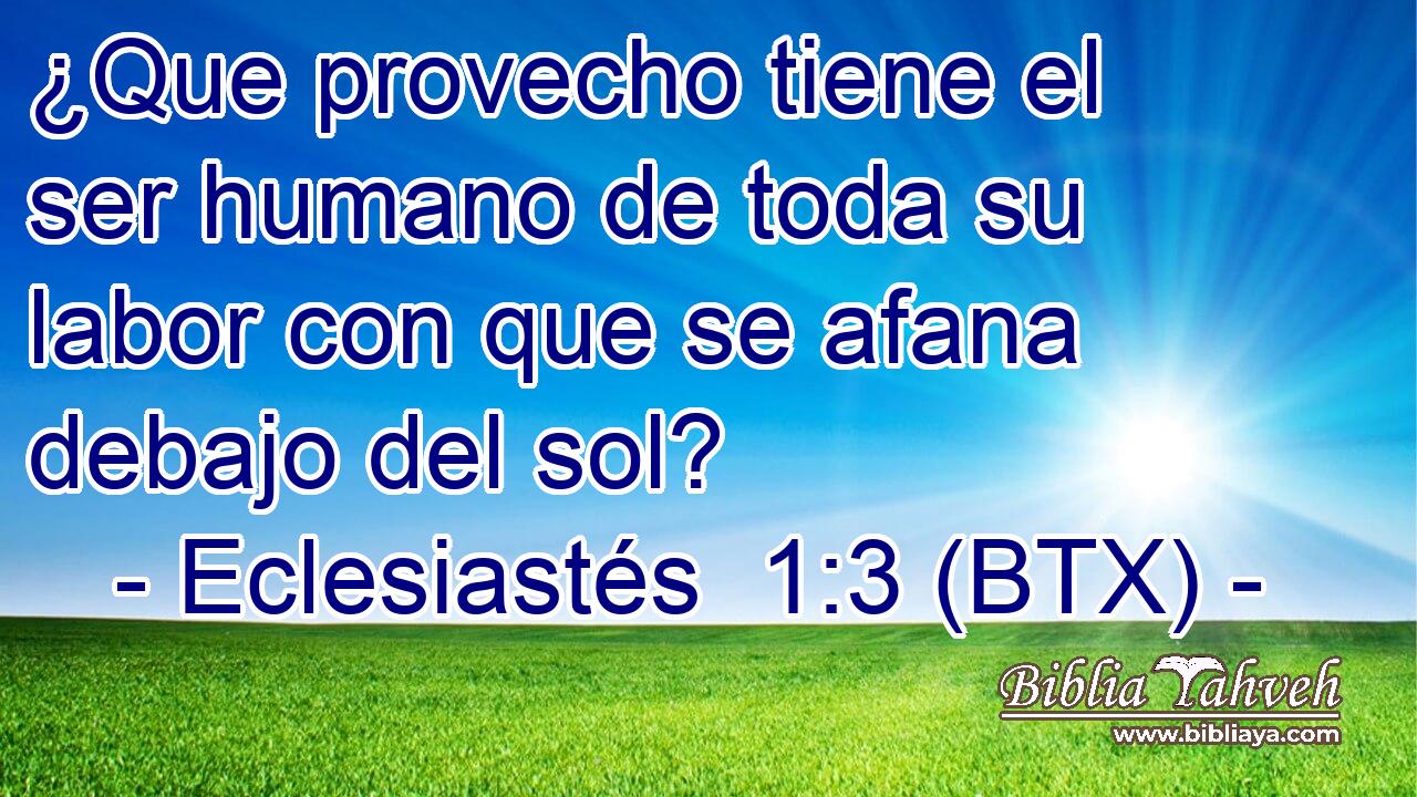¿Que provecho tiene el ser humano de toda su labor con que se afana debajo del sol?