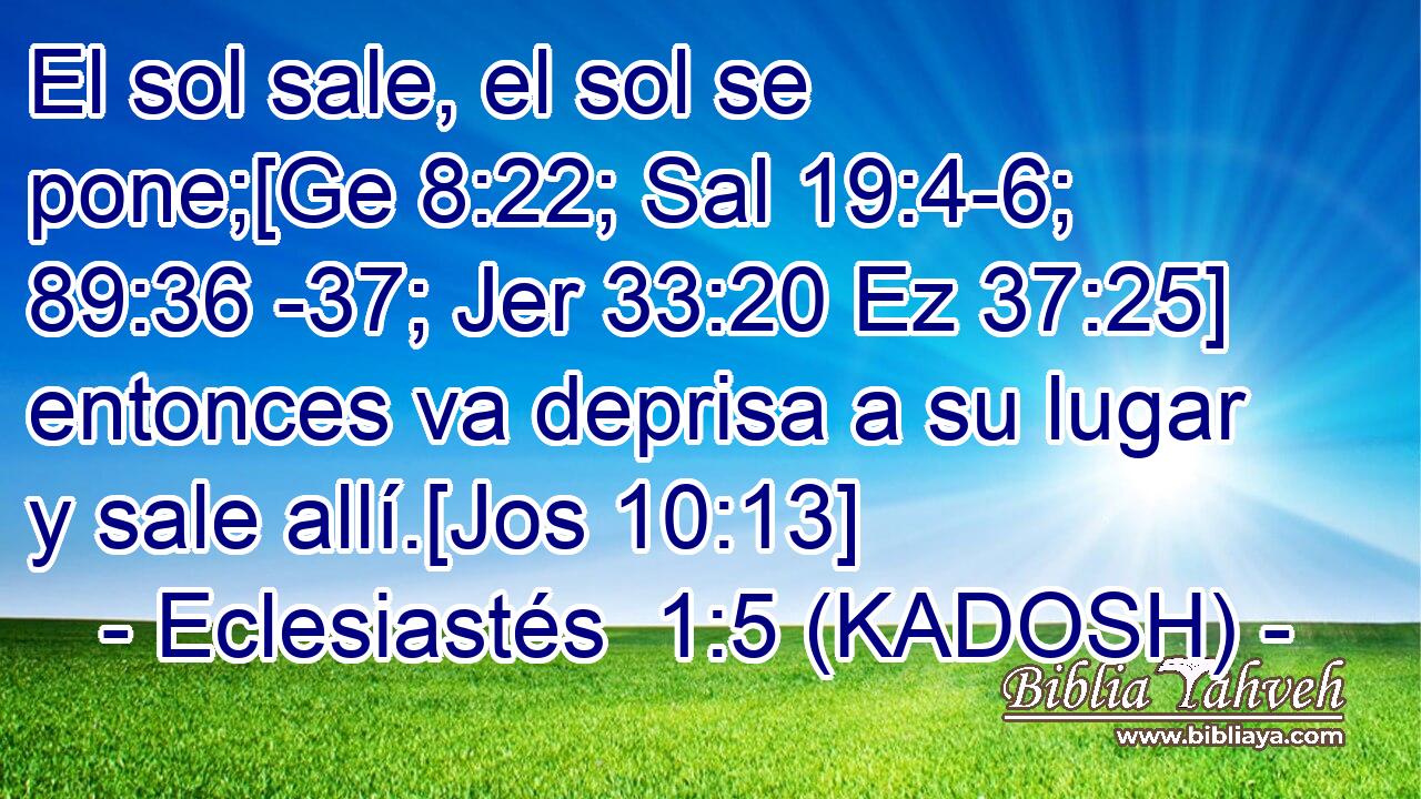  El sol sale, el sol se pone;[Ge 8:22; Sal 19:4-6; 89:36 -37; Jer 33:20 Ez 37:25] entonces va deprisa a su lugar y sale allí.[Jos 10:13] 