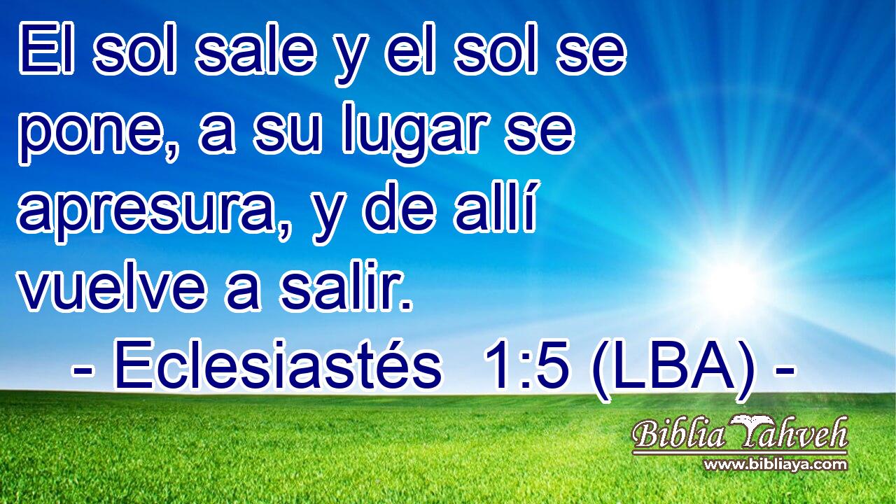 El sol sale y el sol se pone, a su lugar se apresura, y de allí vuelve a salir.
