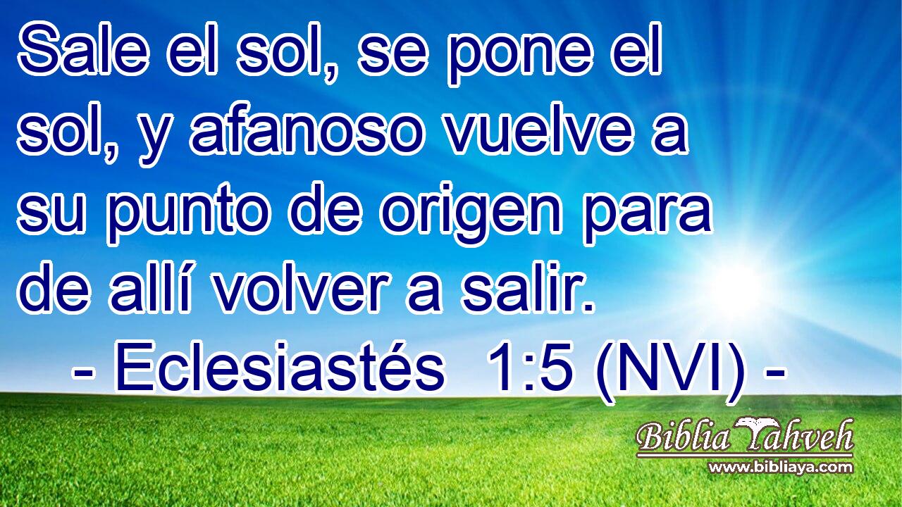  Sale el sol, se pone el sol, y afanoso vuelve a su punto de origen para de allí volver a salir. 