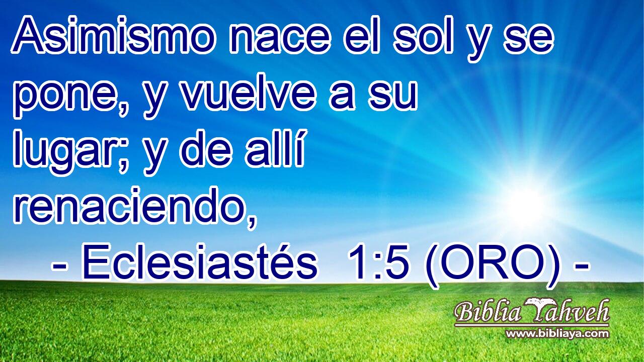  Asimismo nace el sol y se pone, y vuelve a su lugar; y de allí renaciendo, 