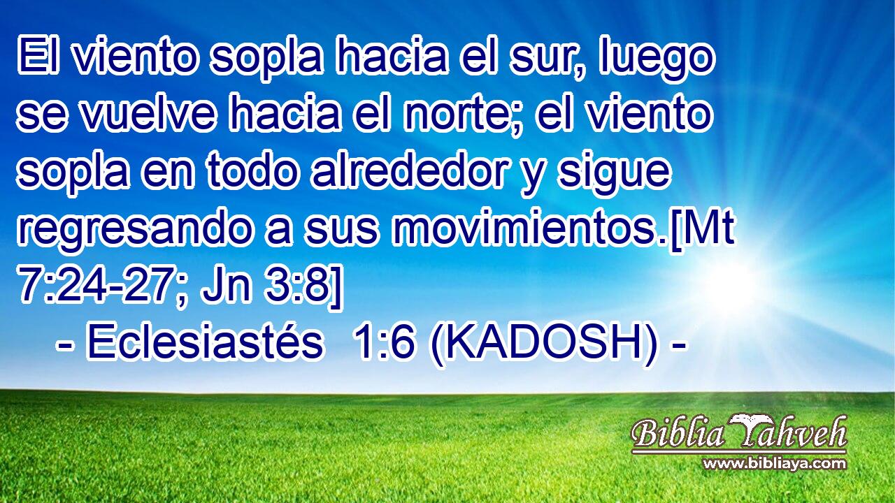  El viento sopla hacia el sur, luego se vuelve hacia el norte; el viento sopla en todo alrededor y sigue regresando a sus movimientos.[Mt 7:24-27; Jn 3:8] 