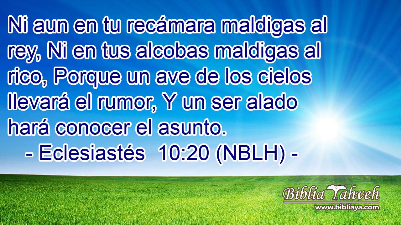  Ni aun en tu recámara maldigas al rey, Ni en tus alcobas maldigas al rico, Porque un ave de los cielos llevará el rumor, Y un ser alado hará conocer el asunto. 